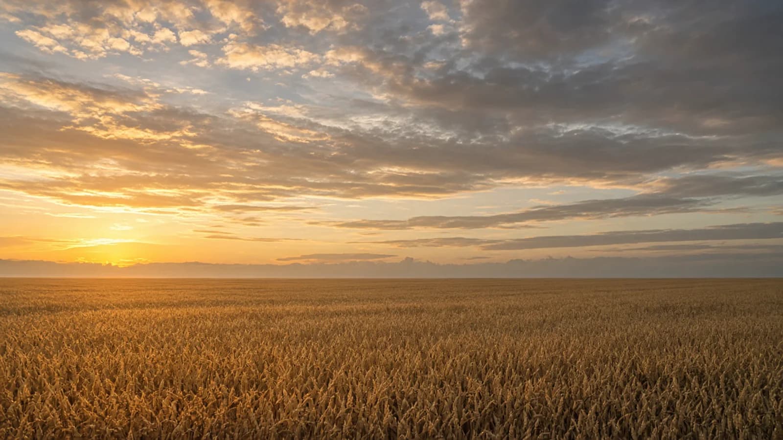 Open American landscape at sunset