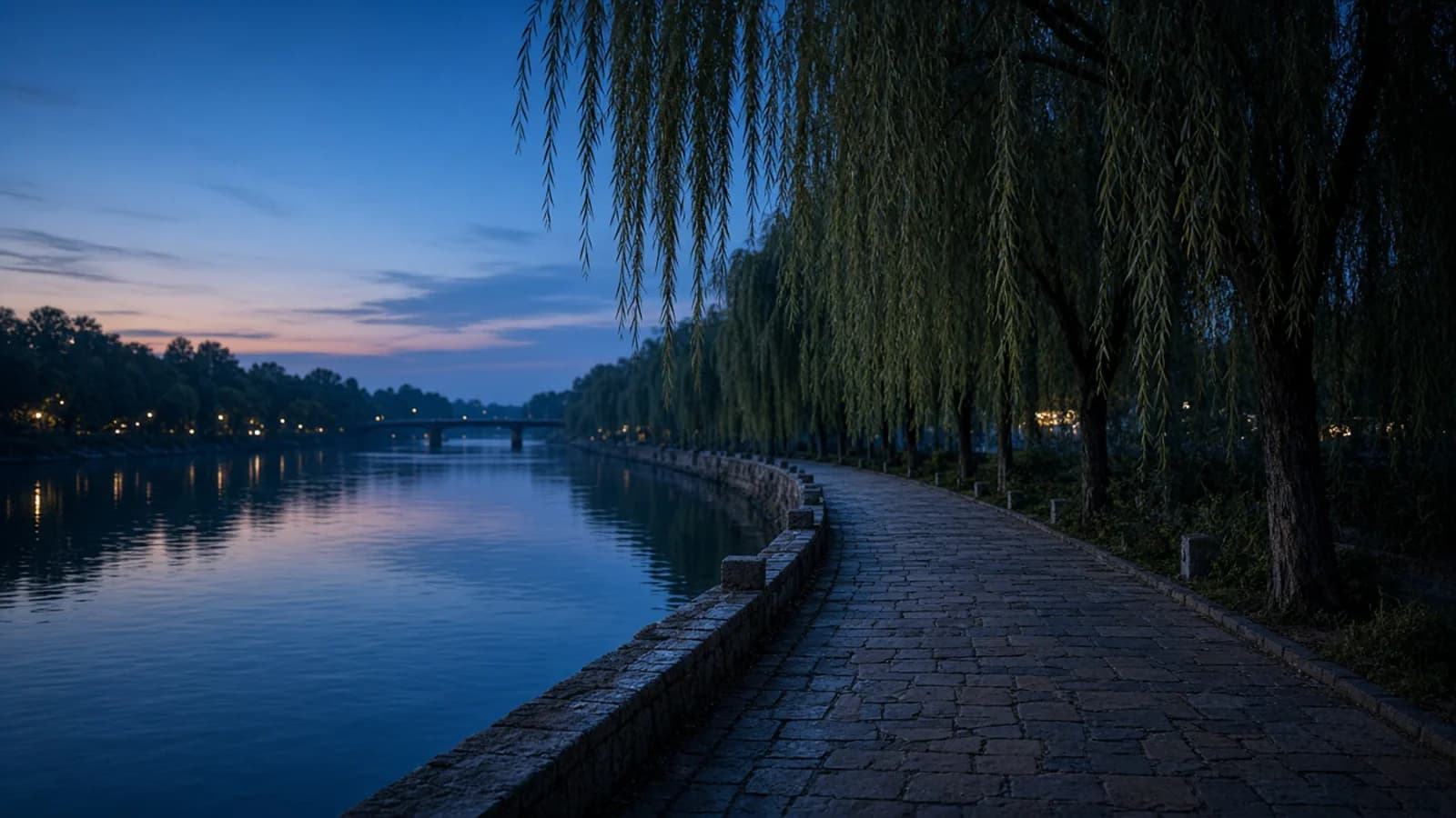 Lakeside shoreline at golden hour