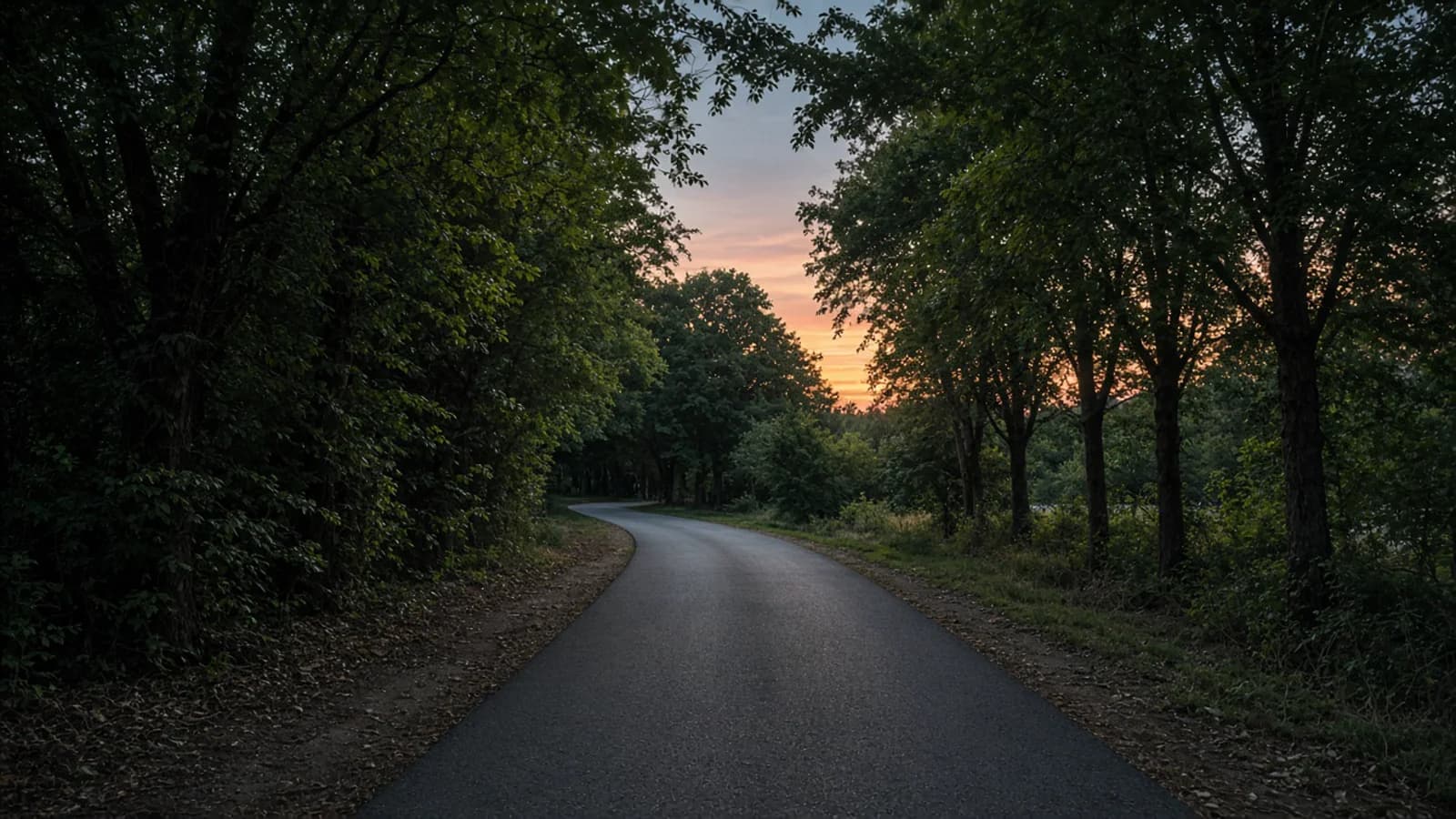 Quiet tree-lined residential street at dusk