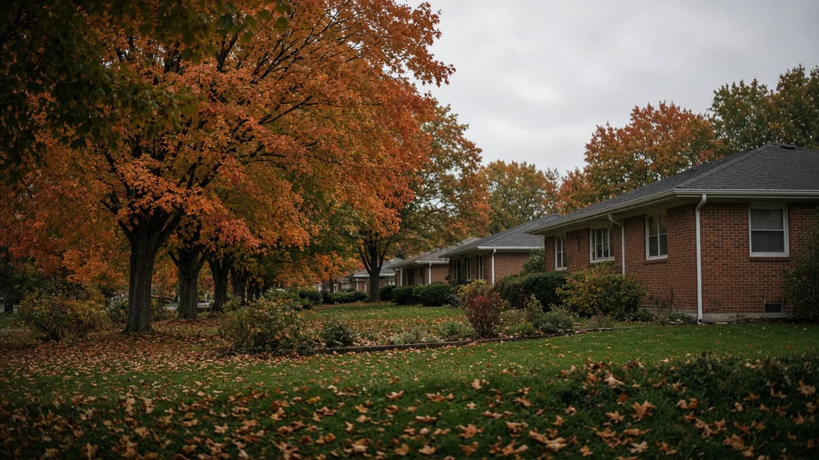 Quiet tree-lined residential street at dusk