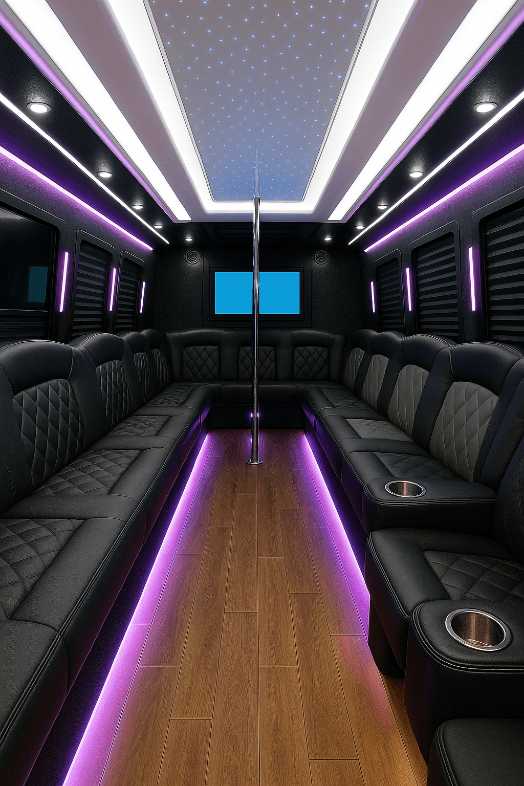 28 Passenger Party Bus interior view